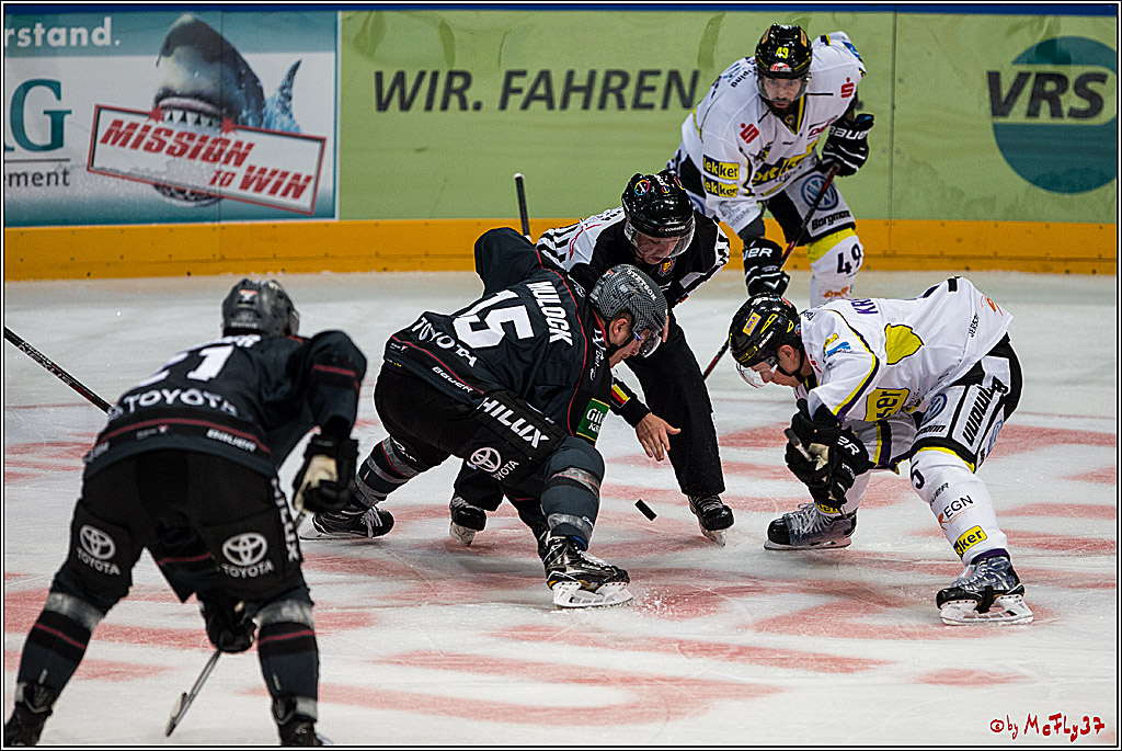 Koelner Haie - Krefeld Pinguine , 23.09.16(KW38)